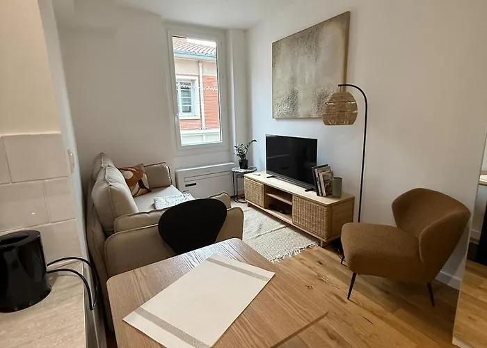 Le Nid Douillet De La Colombette Toulouse